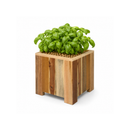 Jardinière Storm Lignum - 30 cm Hauteur - 30 cm Largeur - Huilé Naturel - Bacs à Fleurs Extérieurs Carrés - Bois d'Acacia certifié FSC - pour Jardin, Terrasse et Balcon