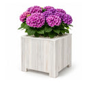 Jardinière Storm Lignum - 40 cm de haut - 40 cm de large - Blanc - Jardinières d'extérieur Carrées - Bois d'acacia certifié FSC - pour Jardin, Terrasse et Balcon