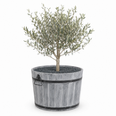 Jardinière Storm Lignum - 38 cm de hauteur - Ø 55 cm - Gris brossé - Jardinières d'extérieur rondes - Bac à arbres en bois d'acacia certifié FSC - pour jardin, terrasse et balcon