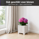Jardinière Storm Lignum - 30 cm de haut - 30 cm de large - Blanc - Jardinières d'extérieur Carrées - Bois d'acacia certifié FSC - pour Jardin, Terrasse et Balcon