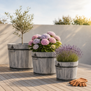 Storm Lignum Jardinières Set de 3 - Gris Brossé - Rond - Jardinières d'Extérieur - Bacs à Fleurs Bois d'Acacia FSC - pour Jardin, Terrasse et Balcon