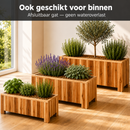Jardinière Storm Lignum - 50 cm de Hauteur - 100x50 cm - Huilé Naturel - Jardinières d'Extérieur Rectangulaires - Bois d'Acacia certifié FSC - pour Jardin et Terrasse